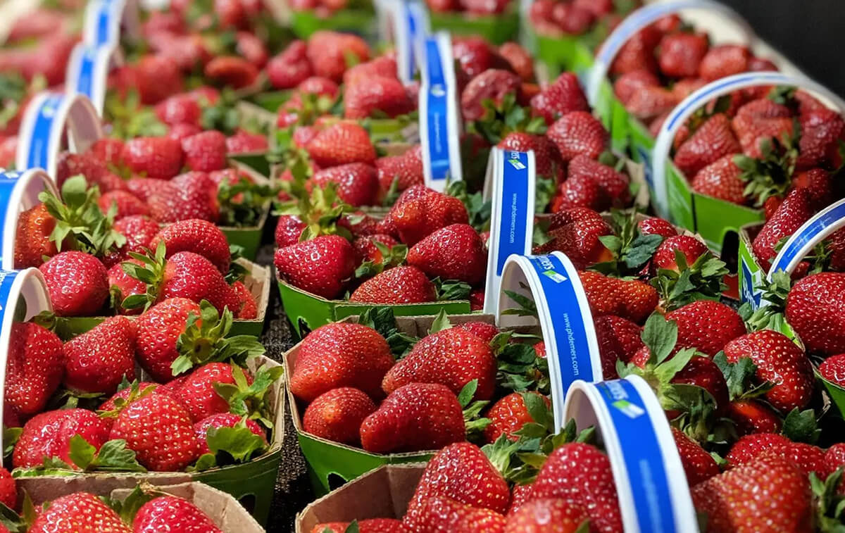 Grand Marché de Québec