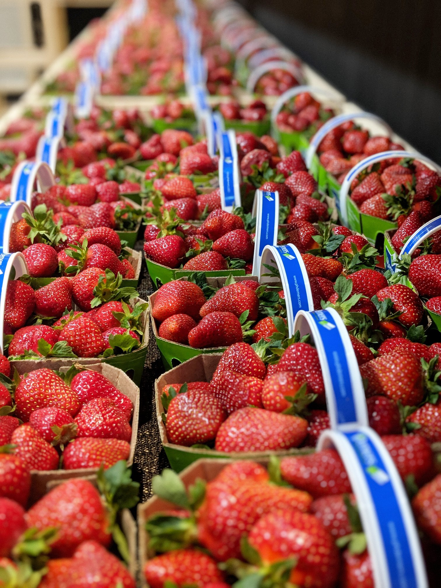 Quebec Strawberries